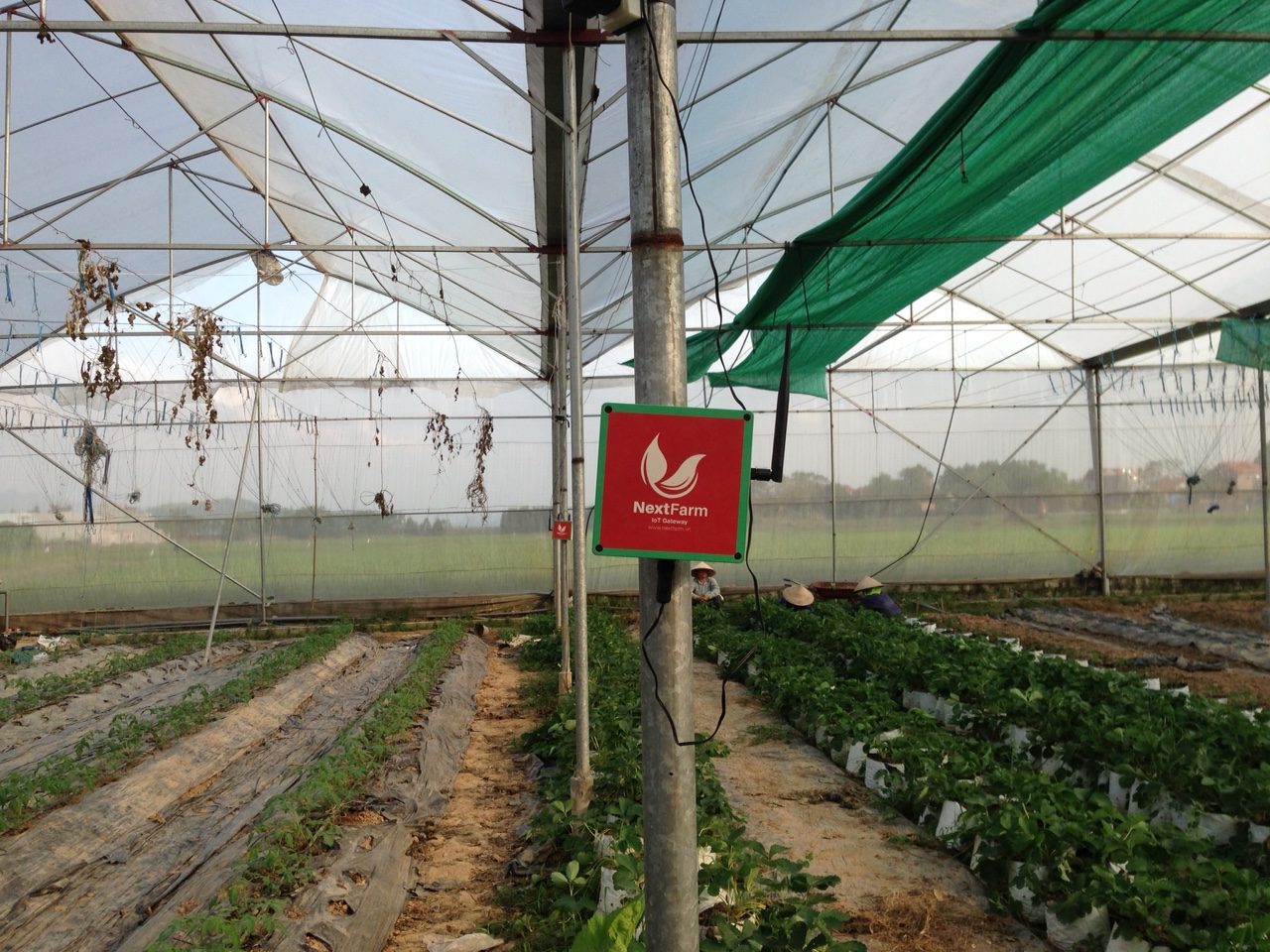 nextfarm1 e1542124326452 1