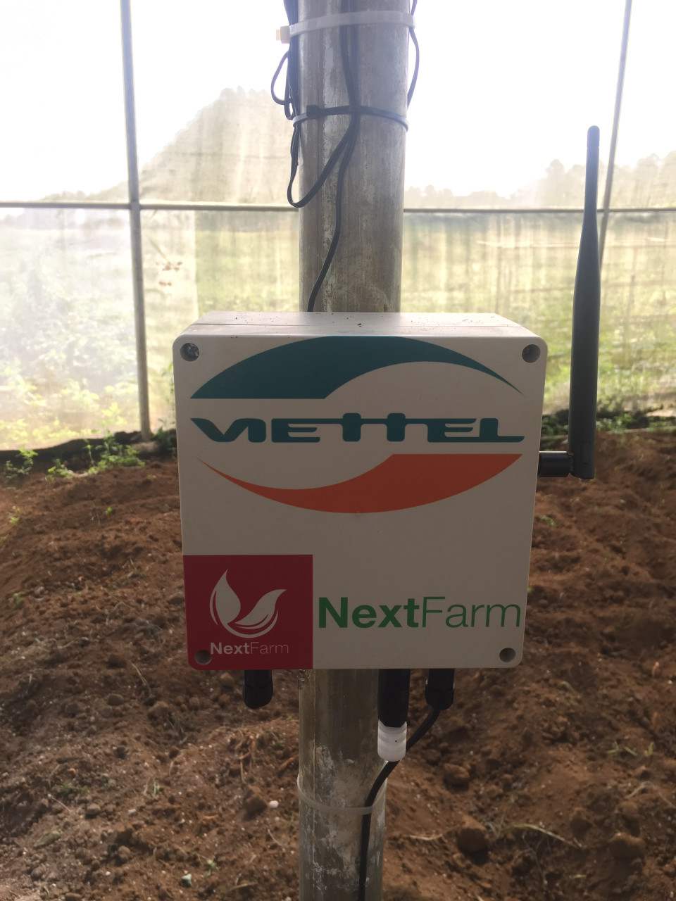 viettel1 2