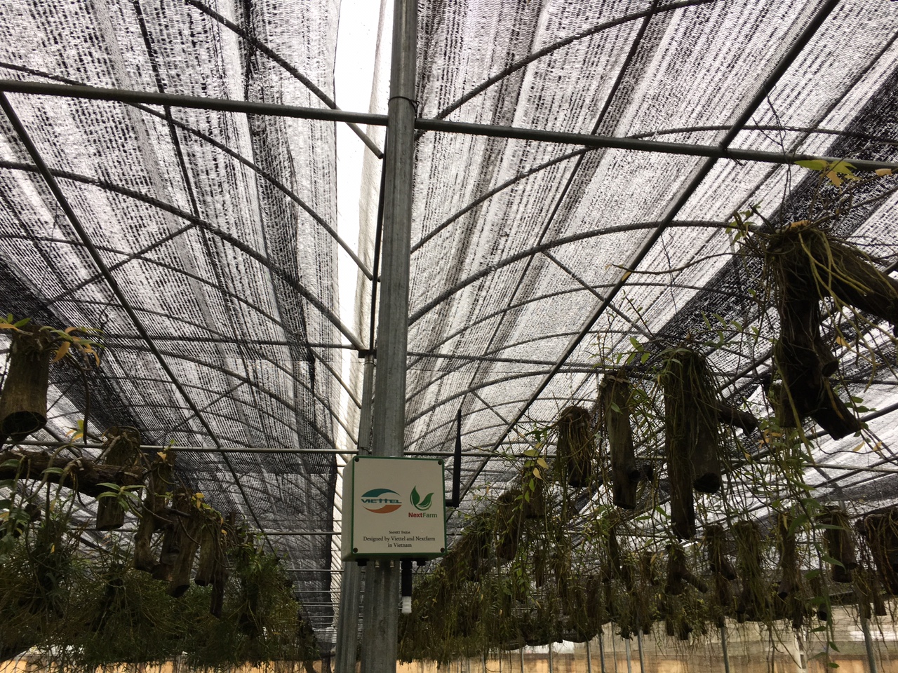 viettelnextfarm 1 3