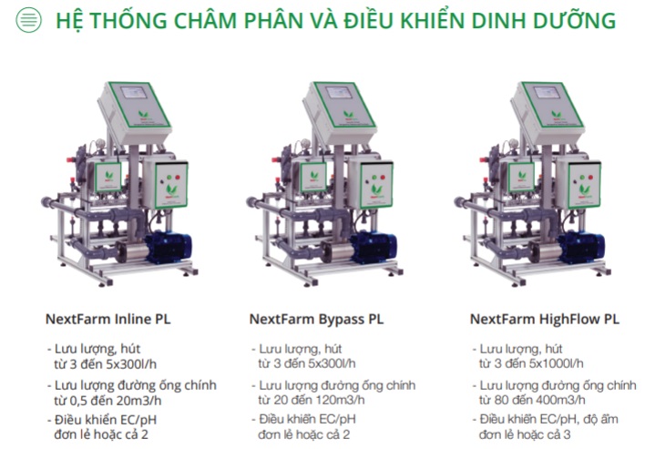 champhandinhduong