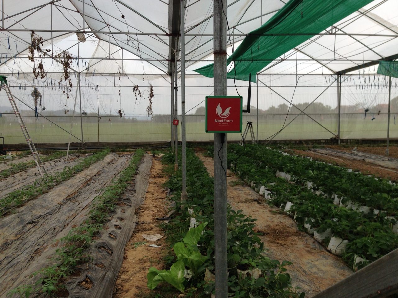 nextfarm6 e1542124228635